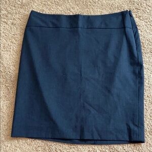 NEW The‎ Limited | Skirt blue 10 petite